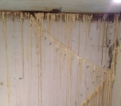 Accurate Construction Ltd photo 3